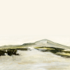 Wilder | Prints in Paintings by Mande Calhoun Art