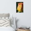Floral Wall Art: Dew on Yellow Rose Botanical Nature Photo | Photography by PIPA Designs