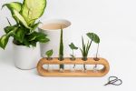 Ovate propagation station | Planter in Vases & Vessels by Almon Woodcraft