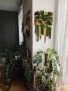 XL moss woven wall tapestry decoration | Wall Hangings by Awesome Knots. Item composed of cotton & fiber compatible with boho and country & farmhouse style