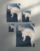 White Cat Blue Eyes Art Print, Fluffy Elegant Painting, Giclée Fine Art | Prints in Paintings by The Ugly Cat Studio