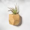 GEORGIA Pine Air Plant Holder | Planter in Vases & Vessels by Untitled_Co