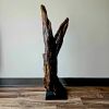 Driftwood Art Sculpture "Snap" | Sculptures by Sculptured By Nature  By John Walker. Item composed of wood in minimalism style