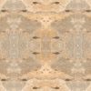 Under The Sea Fossils | Wallpaper in Wall Treatments by Wallcovetings by Brenda Houston. Item made of paper