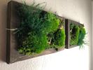 Framed Moss Wall Art Set Botanical Living Walls Sculpture | Plants & Landscape by Sarah Montgomery