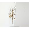 Alan Mizrahi KA1947 Foret Sconce | Sconces by Alan Mizrahi Lighting Design