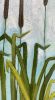 The Stand of the Cattail | Mixed Media in Paintings by Susan Wallis. Item works with contemporary & modern style