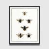 Bee Print, Bee Wall Art, English Cottage Decor, Cottagecore | Prints by Capricorn Press. Item composed of paper in boho or minimalism style