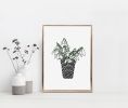 Snowdrop Flower Print, Botanical Art, Floral Drawing | Prints by Carissa Tanton. Item composed of paper