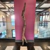 Large Driftwood Art Sculpture "Confident Strut" | Sculptures by Sculptured By Nature  By John Walker. Item made of wood compatible with minimalism style