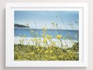 The colors of wind and warmth | Photography by She Hit Pause. Item made of paper