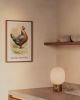 Vintage Hen Rooster Art, Vintage Chicken Art, Vintage | Prints by Capricorn Press. Item composed of paper in boho or minimalism style