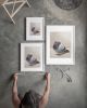 Fat Pigeon Fine Art Print, Funny Bird Wall Art, Seoul Subway Animal Painting | Prints in Paintings by The Ugly Cat Studio