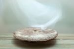 Unique Signed Stone Sculpture | Sculptures by VANDENHEEDE FURNITURE-ART-DESIGN
