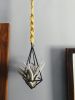 The Hayden Air Plant Holder | Plant Hanger in Plants & Landscape by Likewoah Handmade (Sam). Item composed of cotton and steel