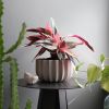 Wrap Planter - 4 sizes | Vases & Vessels by Misewell