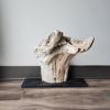 Driftwood Sculpture "Liberty" | Sculptures by Sculptured By Nature  By John Walker. Item made of wood works with minimalism style