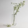 Tall Vase | Vases & Vessels by The Collective