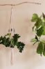 Summer Goals Plant Hanger - Premade! | Plants & Landscape by Modern Macramé by Emily Katz. Item made of cotton with leather