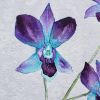 Elegance | Watercolor Painting in Paintings by Brazen Edwards Artist. Item made of paper