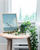Wobbly Seagull in Flight | Prints by The Ugly Cat Studio