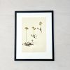 Vintage Pressed Botanical #1 | Pressing in Art & Wall Decor by Farmhaus + Co.