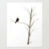 Raven in a Tree | Prints by Brazen Edwards Artist. Item composed of canvas and paper