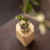 Cypress and Glass Vase | Facet Flower Vase | Vases & Vessels by Alabama Sawyer. Item composed of wood and glass