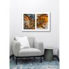 Spills Diptych #15: Coffee Ground Abstract | Photography by Susan Bowen