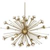 QZ6610 Sputnik 24 Light | Pendants by Alan M