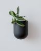 Bender Wall Planter | Vases & Vessels by Misewell