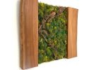 Moss Wall Artwork | Ornament in Decorative Objects by Carlberg Design. Item made of wood compatible with minimalism style