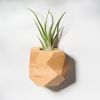 GEORGIA Maple Air Plant Holder | Planter in Vases & Vessels by Untitled_Co