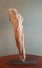 Driftwood Sculpture "Tooth and Nail" | Sculptures by Sculptured By Nature  By John Walker. Item composed of wood in minimalism style