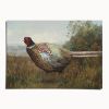 Rocco the Pheasant | Work by The Ugly Cat Studio