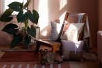Julie Pillow - Terracotta | Cushion in Pillows by MINNA