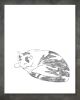 Minimalist Tabby Cat Art Print, Simple Nursery Illustration, Giclée Fine Art Paper | Prints in Paintings by The Ugly Cat Studio