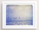 Surfers + Pelicans | Photography by She Hit Pause. Item composed of paper