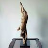 Driftwood Art Sculpture "Posing Porpoise" | Sculptures by Sculptured By Nature  By John Walker. Item composed of wood compatible with minimalism style