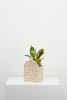 Sol Planter | Vases & Vessels by Capra Designs