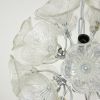 Alan Mizrahi DV5519 Clear Flowers Sputnik | Chandeliers by Alan Mizrahi Lighting Design