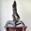 Large Driftwood Art Sculpture "Eagle Rare" | Sculptures by Sculptured By Nature  By John Walker. Item composed of wood compatible with minimalism style