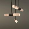 Alan Mizrahi PS1297 Rainier Chandelier | Chandeliers by Alan Mizrahi Lighting Design