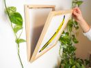 Vinyl Record Display Frame | Decorative Frame in Decorative Objects by Dot & Rose. Item composed of maple wood