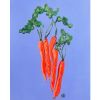 Carrots | Oil And Acrylic Painting in Paintings by Nicole Simms