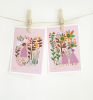 Mother Nature Set - Catch and Fly | Prints by Leah Duncan. Item composed of paper compatible with mid century modern and contemporary style