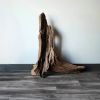 Driftwood Free-form Art Floor Sculpture "Monument Valley" | Sculptures by Sculptured By Nature  By John Walker. Item composed of wood in minimalism style