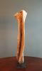 Driftwood Sculpture "Fang" | Sculptures by Sculptured By Nature  By John Walker. Item composed of wood compatible with minimalism style