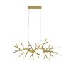 Alan Mizrahi WM2088 Acropora | Chandeliers by Alan Mizrahi Lighting Design