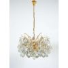 Alan Mizrahi LU9935 Delicate Murano | Chandeliers by Alan Mizrahi Lighting Design